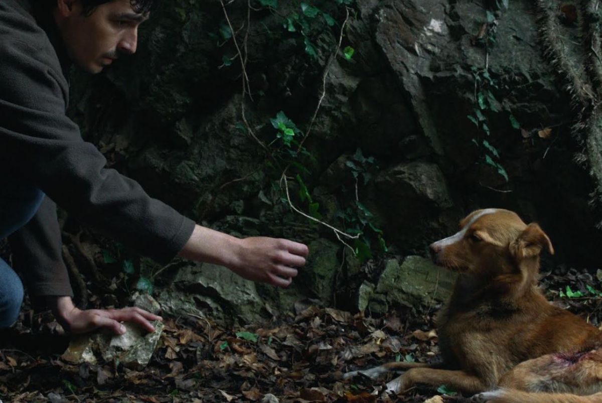 vetre pricaj sa mnom 2.JPG